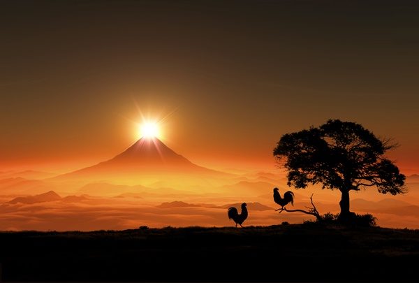 日の出とニワトリと富士山