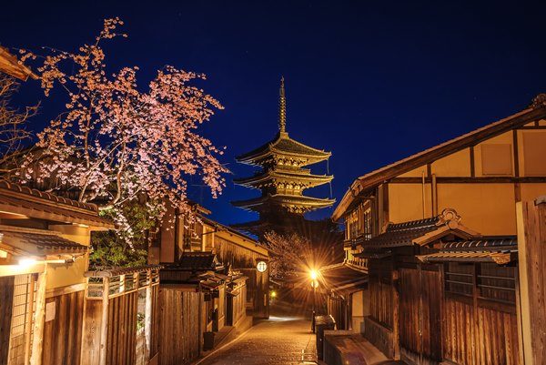 京都　八坂の塔と夜桜