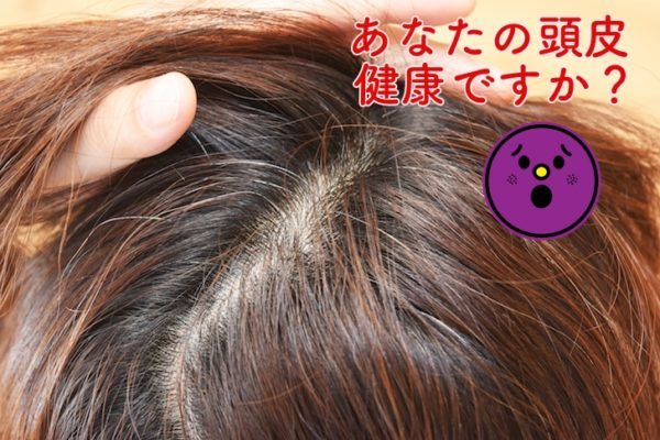 頭皮の健康を考えるなら、頭皮マッサージだけではダメでした。